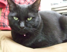 ファイル 3455-1.jpg