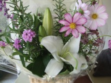 ファイル 3459-1.jpg