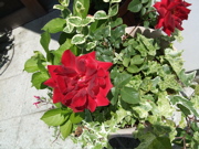 ファイル 346-2.jpg