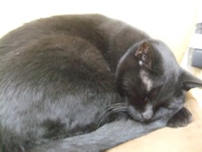 ファイル 3468-1.jpg