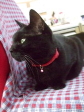 ファイル 3469-2.jpg