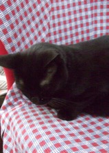 ファイル 3469-3.jpg