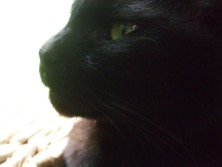 ファイル 3469-4.jpg