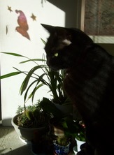 ファイル 3470-1.jpg