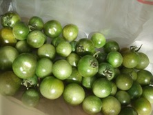 ファイル 3474-1.jpg