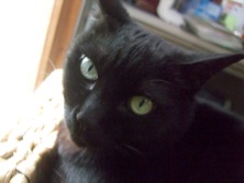 ファイル 3479-3.jpg