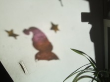 ファイル 3479-4.jpg