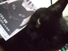 ファイル 3481-2.jpg