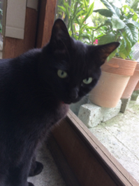 ファイル 3482-2.jpg