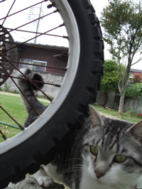 ファイル 349-1.jpg