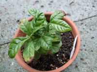 ファイル 351-1.jpg