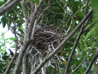 ファイル 353-1.jpg