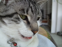 ファイル 357-1.jpg