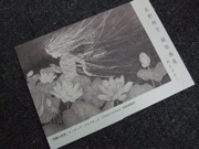 ファイル 359-2.jpg