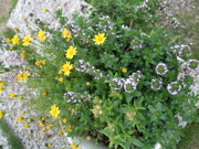 ファイル 363-2.jpg