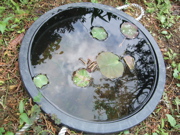 ファイル 365-1.jpg