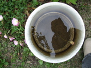 ファイル 365-2.jpg