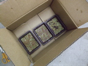 ファイル 366-2.jpg