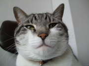 ファイル 368-1.jpg