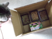 ファイル 369-1.jpg