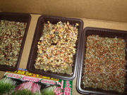 ファイル 369-2.jpg