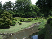 ファイル 371-1.jpg