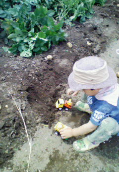 ファイル 372-1.jpg