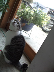 ファイル 374-1.jpg