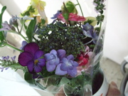 ファイル 376-1.jpg