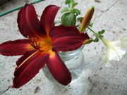 ファイル 379-1.jpg