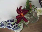 ファイル 379-2.jpg