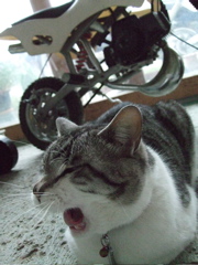 ファイル 383-2.jpg