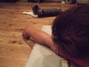 ファイル 395-2.jpg