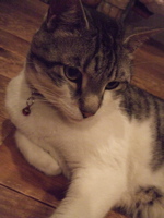 ファイル 395-5.jpg