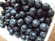 ファイル 396-1.jpg