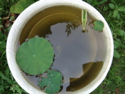 ファイル 402-2.jpg