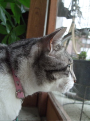 ファイル 404-2.jpg