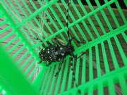 ファイル 406-2.jpg