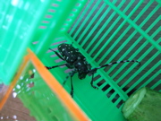 ファイル 406-3.jpg