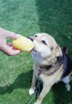 ファイル 412-1.jpg