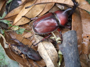 ファイル 413-1.jpg