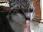 ファイル 415-1.jpg