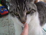 ファイル 415-2.jpg