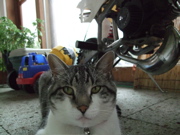 ファイル 419-1.jpg