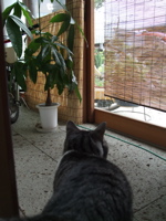 ファイル 424-1.jpg