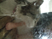 ファイル 427-2.jpg