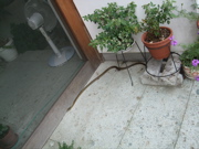 ファイル 428-1.jpg