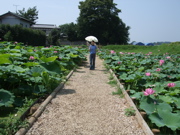 ファイル 429-2.jpg