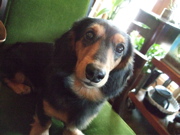 ファイル 430-2.jpg