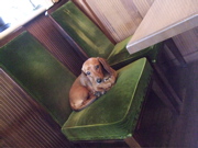 ファイル 430-3.jpg